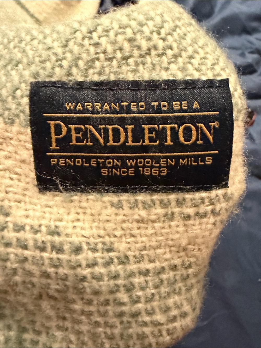 Pendleton blanket  in  Cream and Light Green